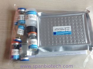 Human  Tumor Necrosis Factor α(TNF-α) ELISA Test Kit
