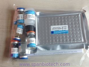 Human Coagulation Factor Ⅷ(FⅧ) ELISA Kit for Research Use
