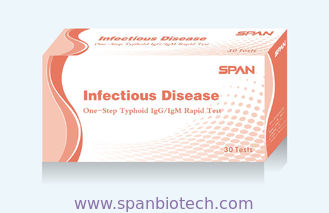 Salmonella Typhoid(S. typhi) IgG/IgM Rapid Test Cassette(WB/Sp