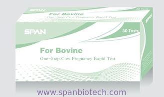 One-Step Cow Pregnancy Rapid Test - 6 specimen (Milk, Urine, Feces, Saliva ,Hair and Blood)