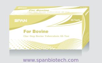 Bovine Tuberculosis Ab Rapid Test