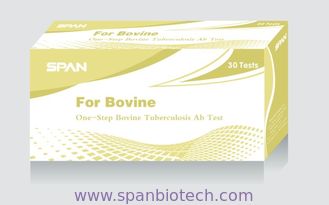 BTB Ab -  Bovine Tuberculosis Ab Rapid Test for Animal Tests