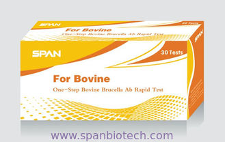 Bovine Brucella Ab Test Cassette