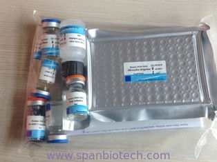 PRRS Ab - Porcine Productive and Respiratory Syndrome Ab Rapid Test