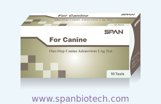 Canine Adenovirus Type-I (CAV-I ) Ag Rapid Diagnostic Test