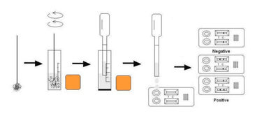 Canine Distemper Virus Ag Test Cassette