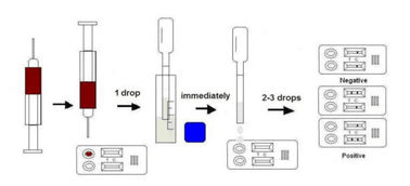 Feline Immunodeficiency Virus Ab Rapid Test
