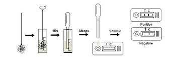 Giardia Ag Test