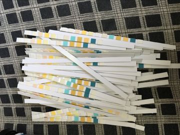 URS-10 Test ,Leukocytes/Nitrite/Urobilinogen/Protein/pH/Blood/Specific Gravity/Ketone/Bilirubin/Glucose