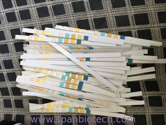 URS-7 Rapid Test,Urobilinogen/Protein/PH/Blood/Ketone/Bilirubin/Glucose,100 strips/Bottle or 100 strips/Pouch