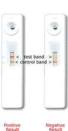 One-Step Influenza A Rapid Test,Cassette/Strip ,Competitive Price