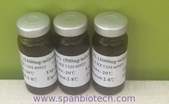 Contrôle standard du test KET