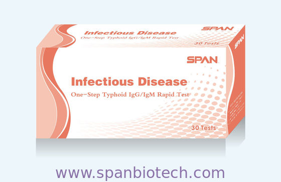 Cassette de test de diagnostic rapide IgG/IgM de la typhoïde (Sérum / Plasma)